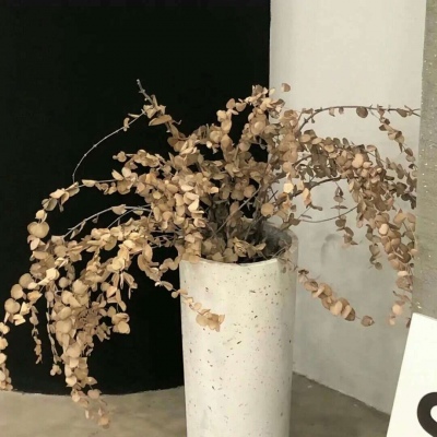 秀英FurryQQ群介绍